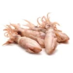 Frozen Baby  Squid – 454gm