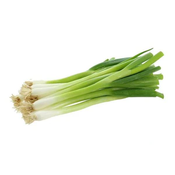 Spring Onion
