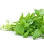 Fresh Basil 30g